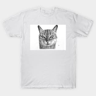 Tau the Tabby T-Shirt